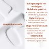 Bild 8 pdf